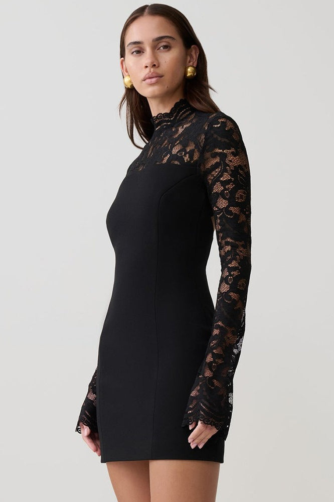 Backless Lace Sheer Mesh Bodycon Dress