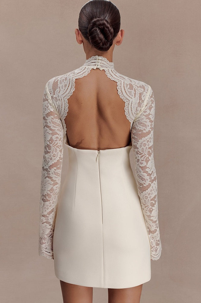 Backless Lace Sheer Mesh Bodycon Dress