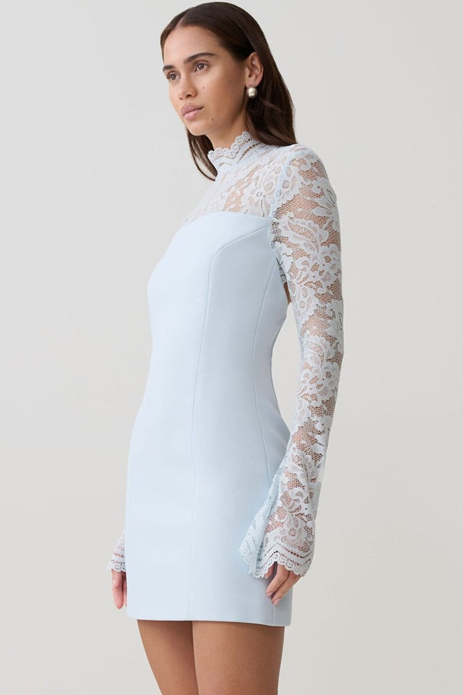 Backless Lace Sheer Mesh Bodycon Dress