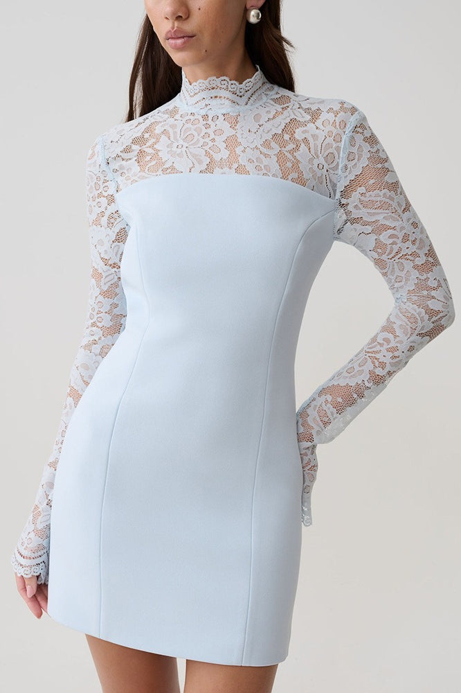 Backless Lace Sheer Mesh Bodycon Dress