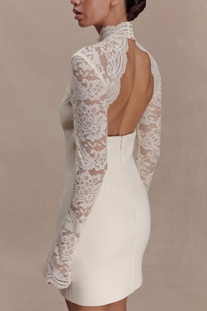 Backless Lace Sheer Mesh Bodycon Dress