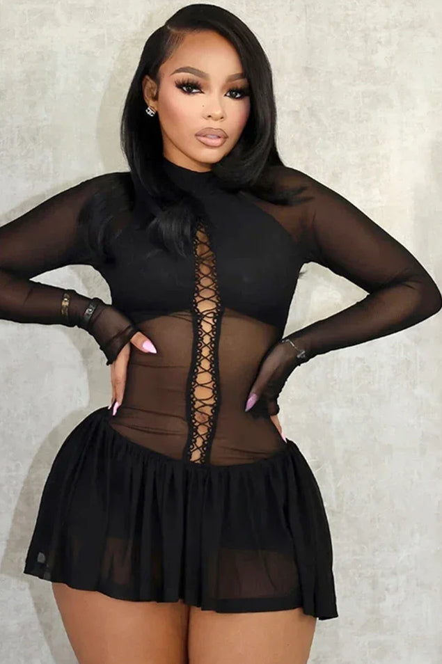 Pleated Mesh Full Sleeve Mini Dress