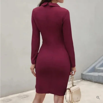Long Sleeve Lapel Collar Back Zip Bodycon Knee Length Cocktail Dress - View 4