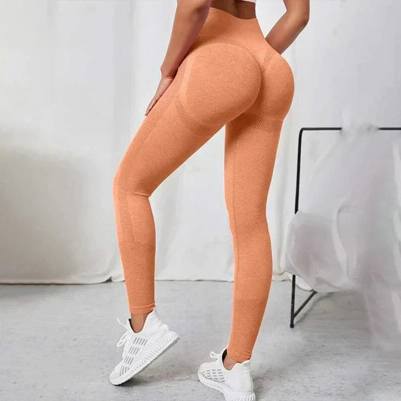 Seamless Workout Legging Orange / S