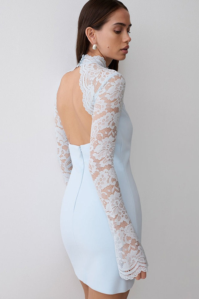 Backless Lace Sheer Mesh Bodycon Dress