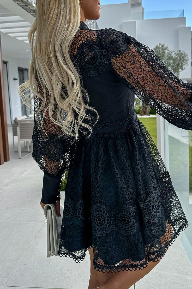Lace Button Front High Neck Bishop Sleeve Fit and Flare Mini Dress - View 5