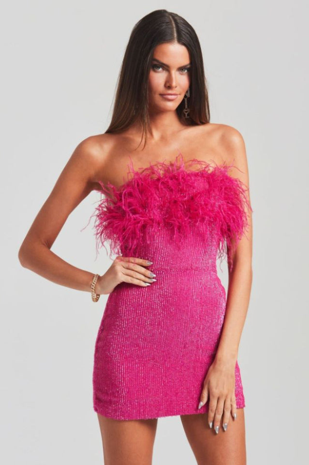 Torin Sequin Feather Dress - View 6