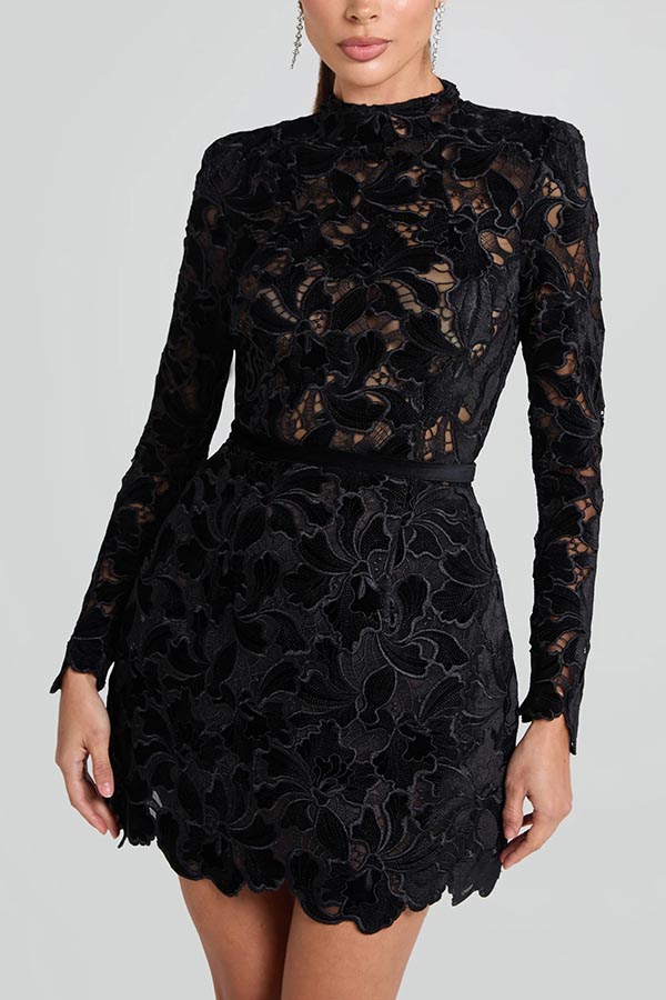 Floral Lace High Neck Long Sleeve Belted Mini Dress