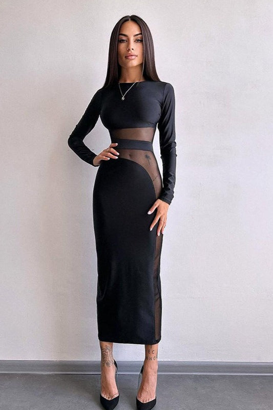 Mesh Panel Long Sleeve Maxi Dress