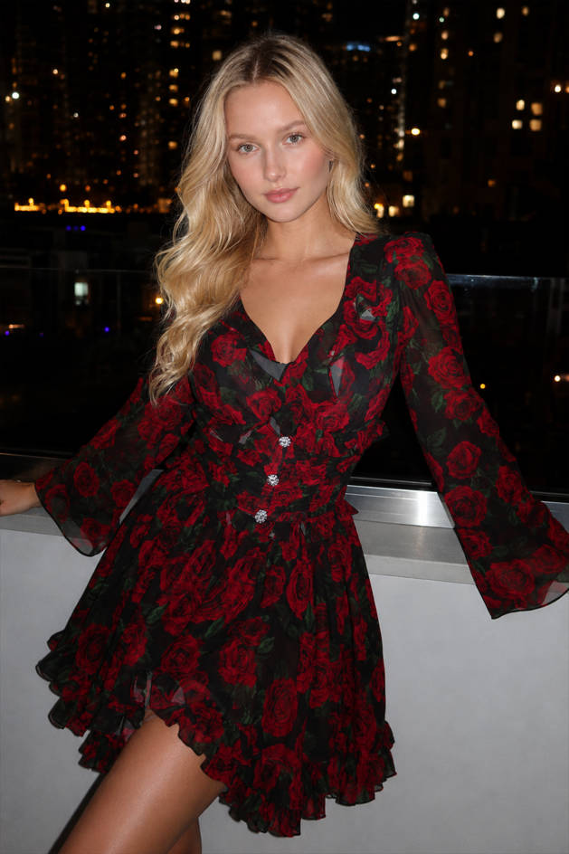 Floral V-Neck Long Sleeve Button Front Ruffle High Low Mini Dress 2