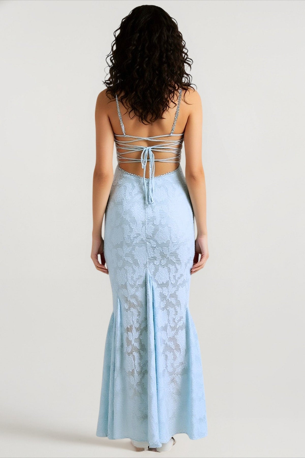 Embroidered Lace Dress