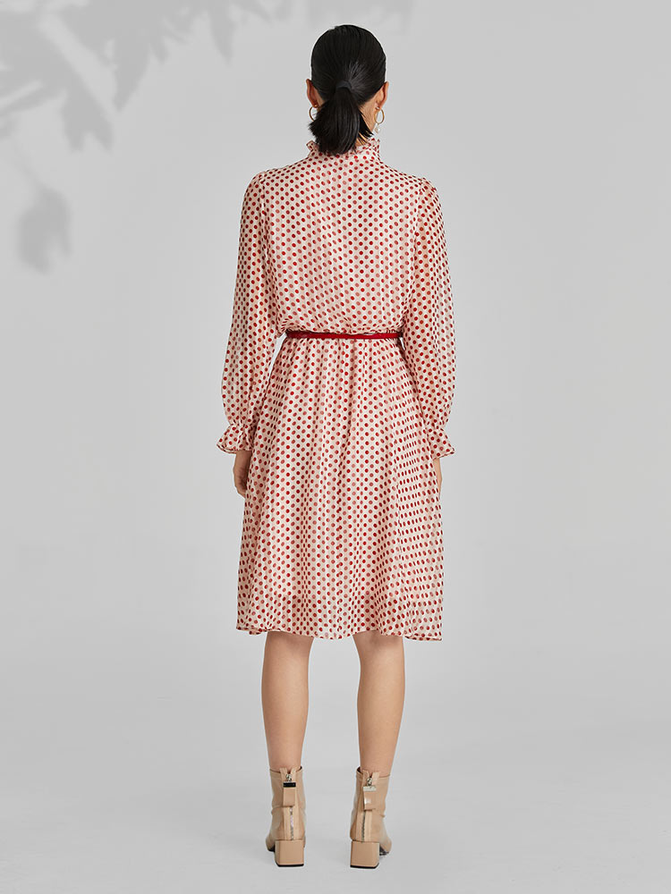 Gathered Waist Chiffon Polka Dot Midi Dress - View 6