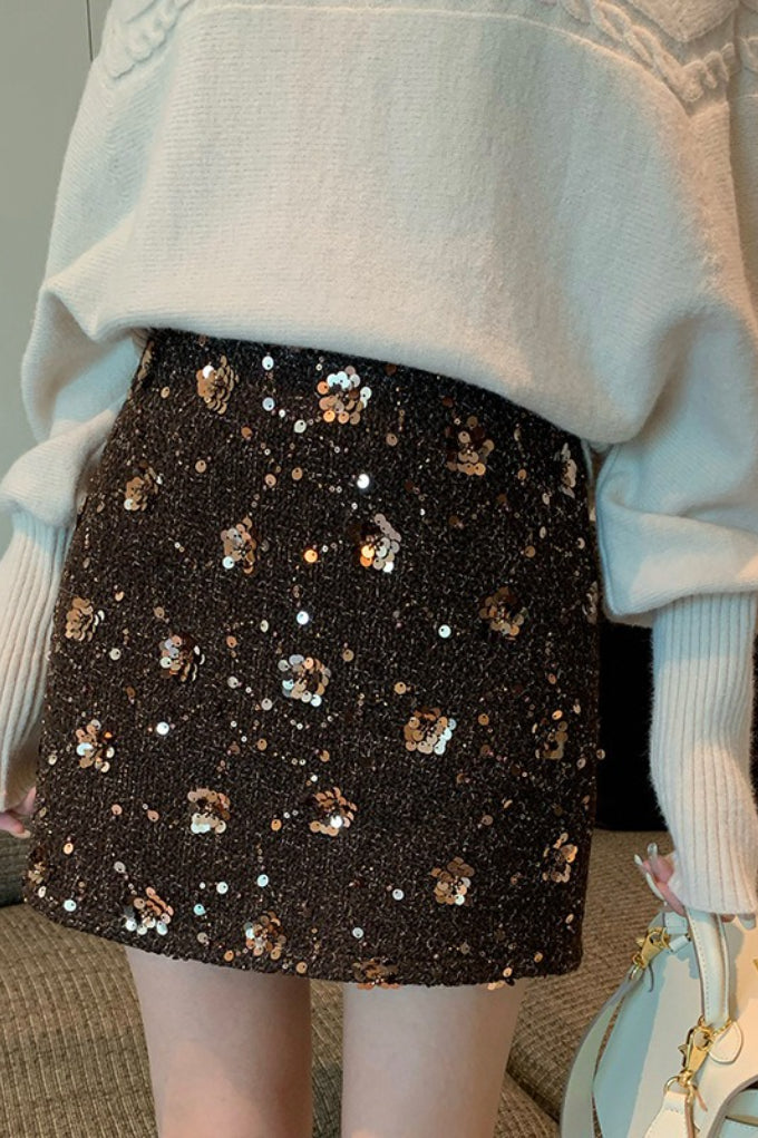 Embroidered Sequin High Waist A-Line Skirt