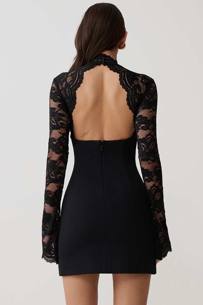 Backless Lace Sheer Mesh Bodycon Dress