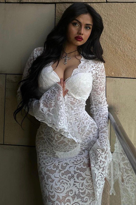 Deep V-Neck Lace Sheer Mesh Maxi Dress