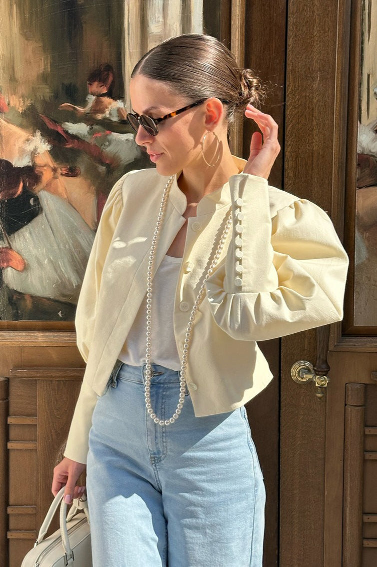 Elegant Mandarin Collar Blouse