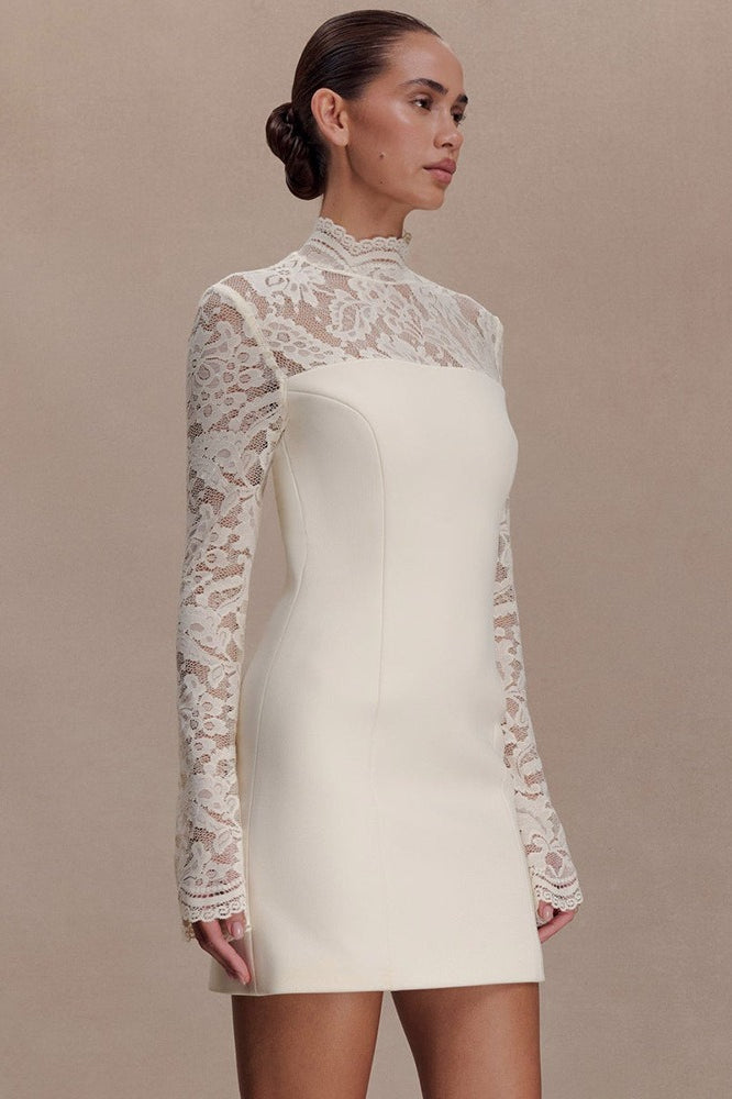 Backless Lace Sheer Mesh Bodycon Dress