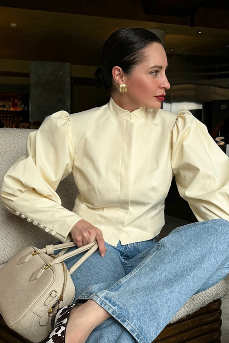 Elegant Mandarin Collar Blouse
