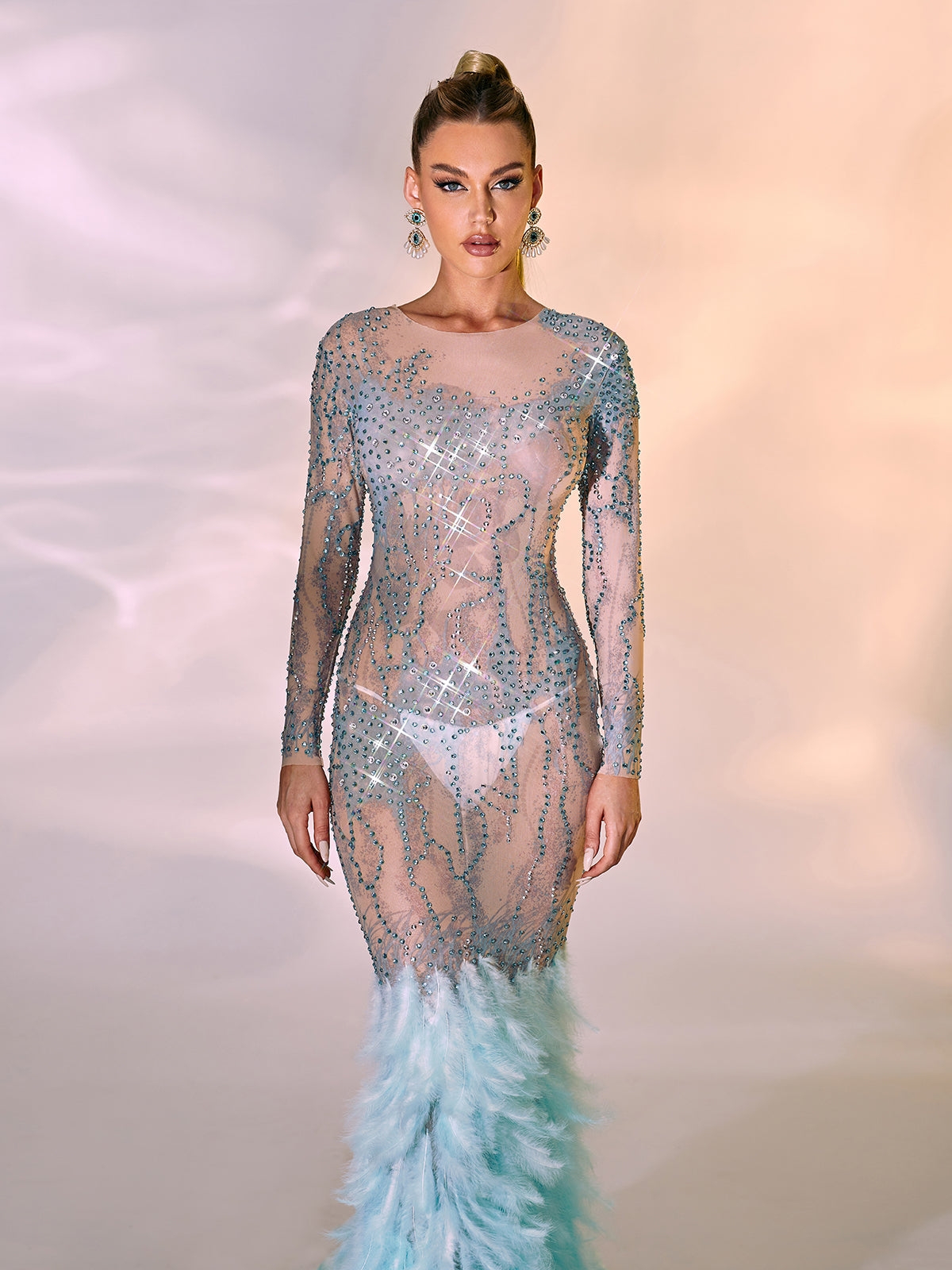 Briar Long Sleeve Rhinestone Feather Maxi Dress - View 5