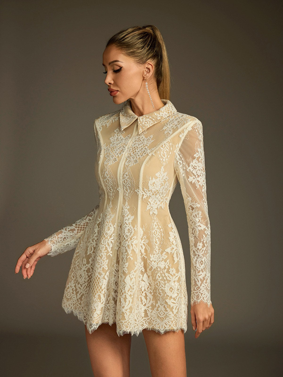 Floral Lace Collared Long Sleeve A-Line Mini Dress - View 5