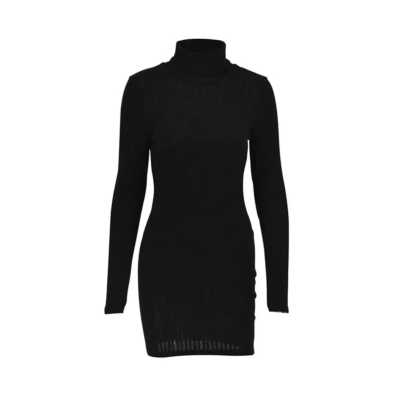 Ribbed Knit Turtleneck Long Sleeve Ruched Bodycon Mini Dress - View 6