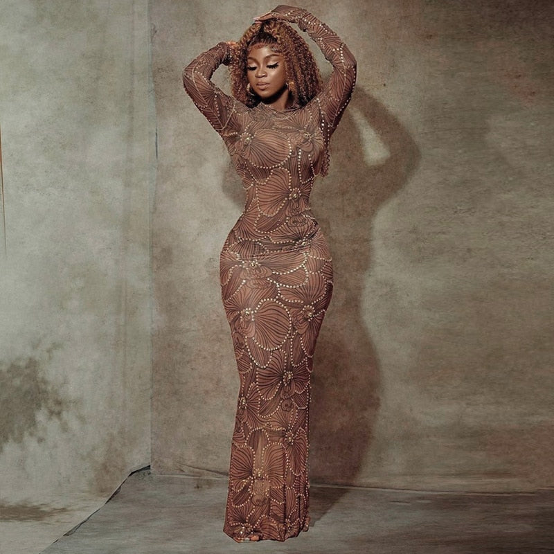 Crew Neck Long Sleeve Rhinestone Mesh Bodycon Maxi Dress