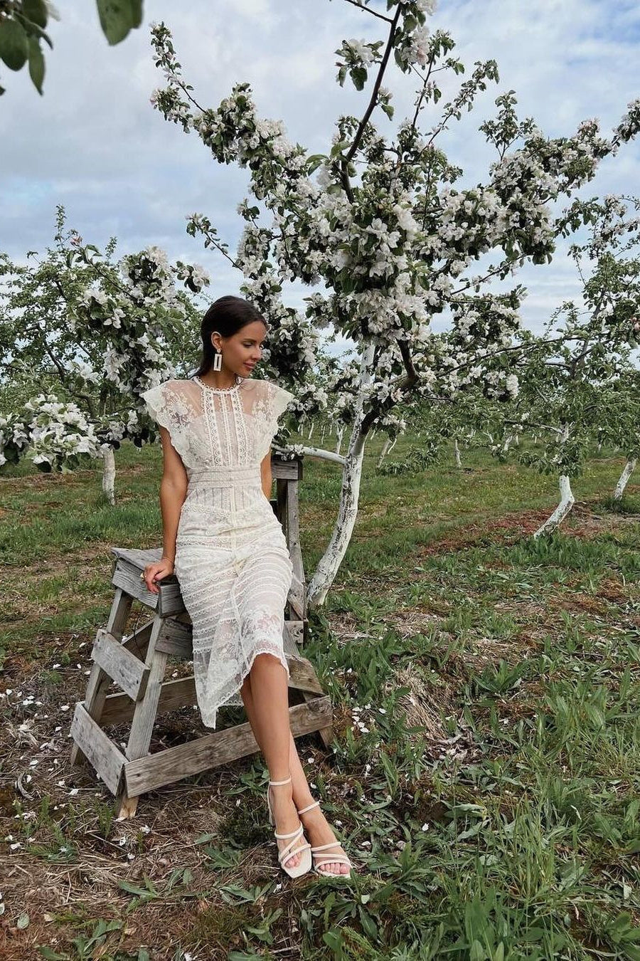 Floral Embroidered Mesh Cap Sleeve Midi Dress in Beige - View 8