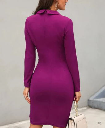 Long Sleeve Lapel Collar Back Zip Bodycon Knee Length Cocktail Dress - View 2