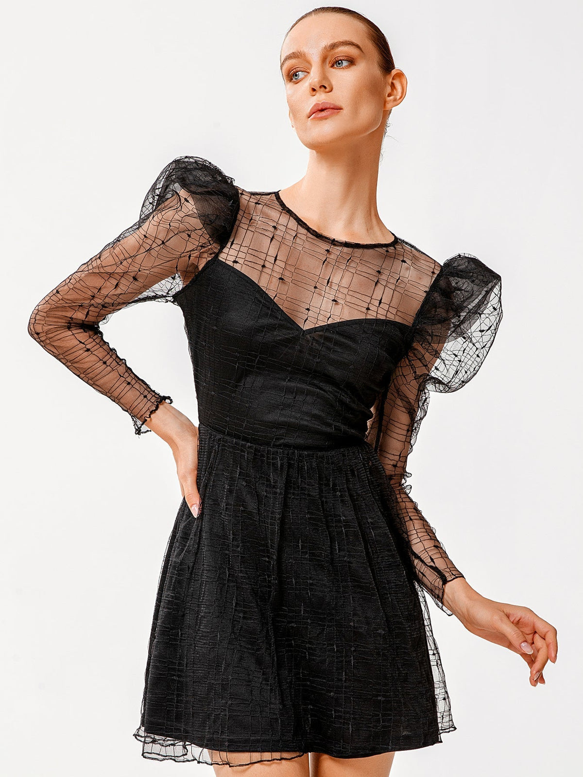 Mesh Grid Overlay Puff Sleeve Sweetheart Fit and Flare Mini Dress - View 5