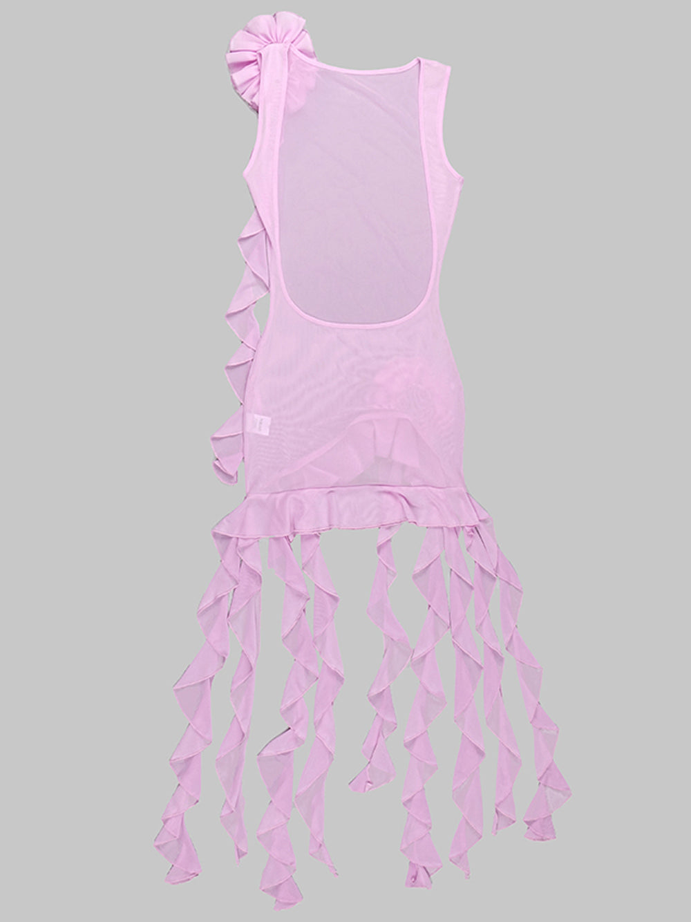 SIA Mesh Mini Dress - View 6