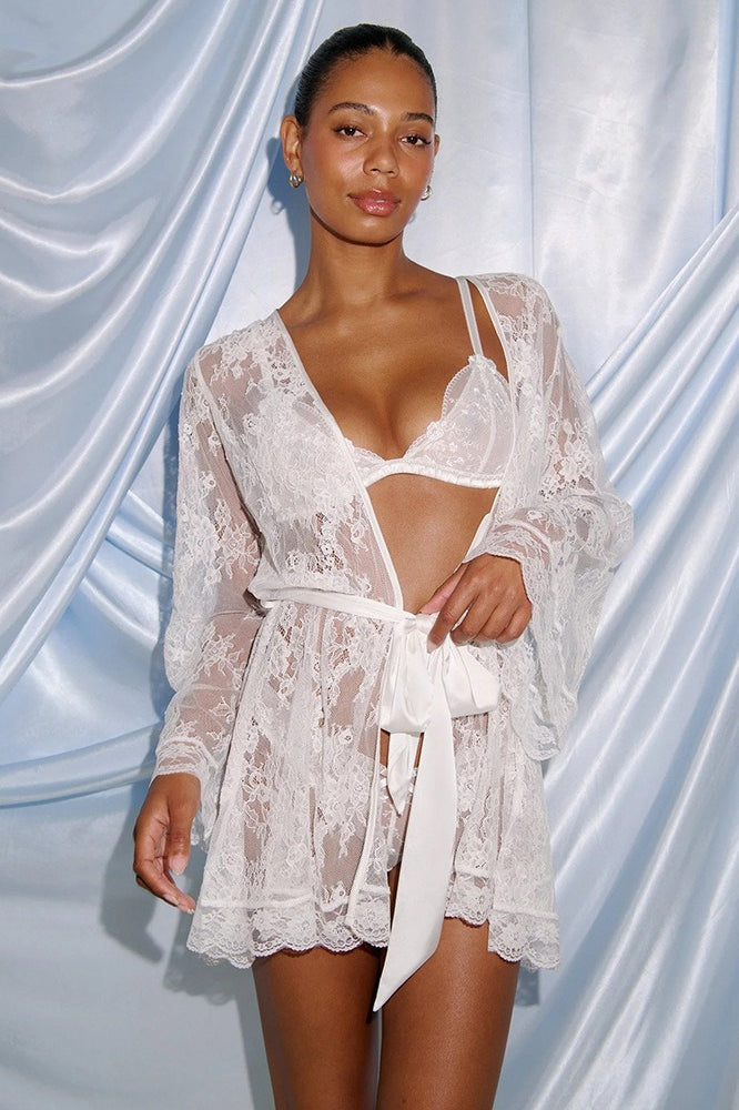 Lace Sheer Mesh Mini Dress