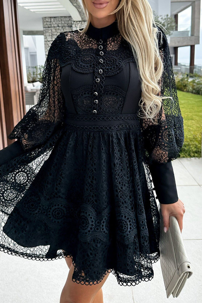 Lace Button Front High Neck Bishop Sleeve Fit and Flare Mini Dress - View 7