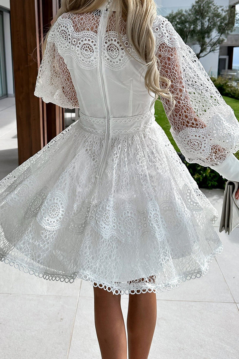 Lace Button Front High Neck Bishop Sleeve Fit and Flare Mini Dress - View 4