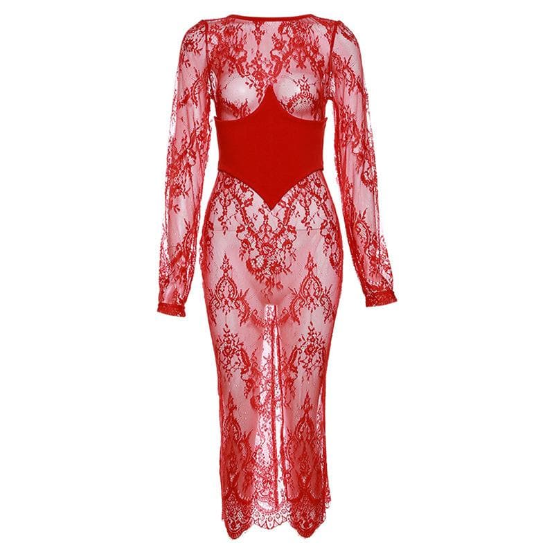 Floral Lace Long Sleeve Sheer See Through Maxi Dress - View 2