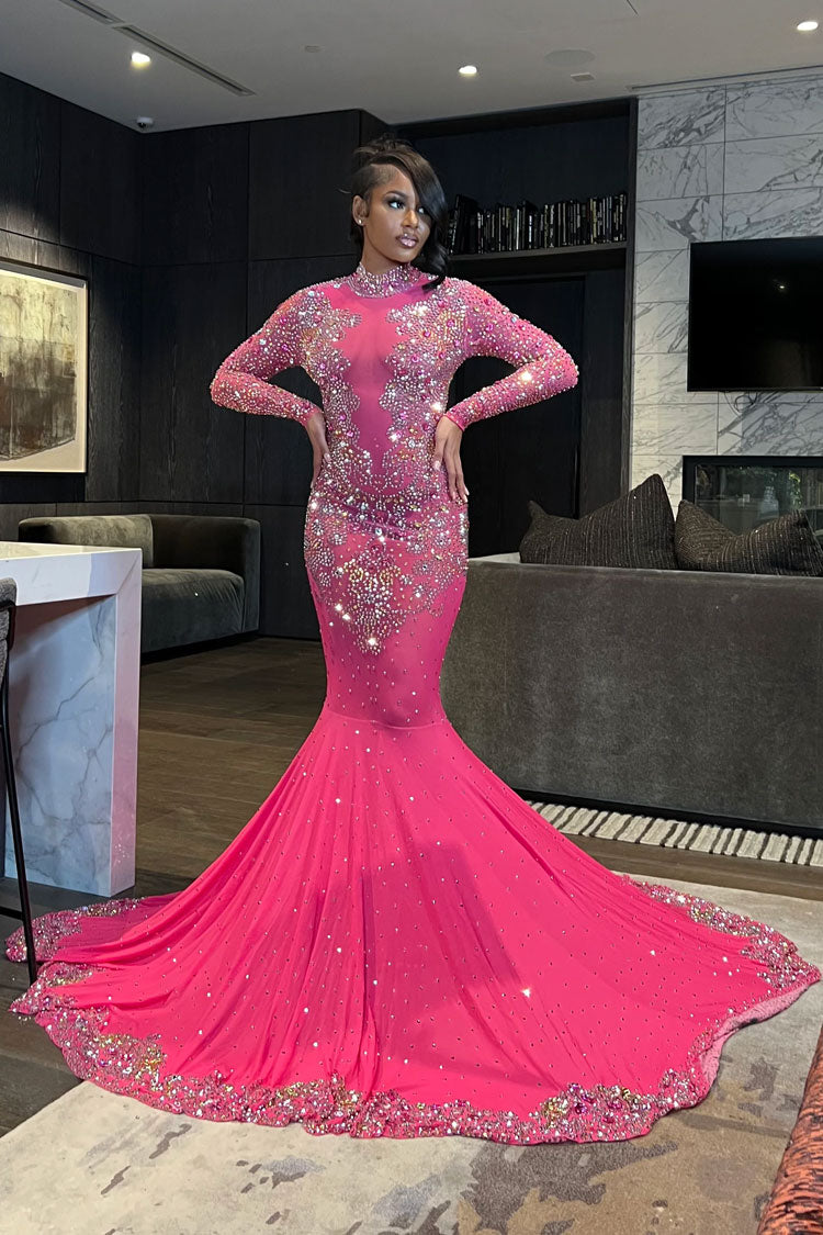 Mesh Long Sleeve Maxi Dress in Rose