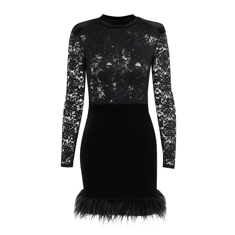 Lace High Neck Long Sleeve Feather Trim Mini Dress - View 4