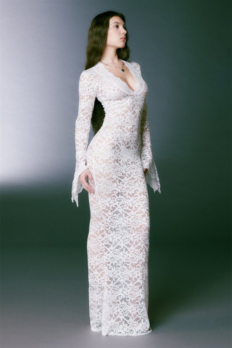 Virginia Sheer Lace Mermaid Maxi Dress - View 6